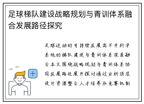 足球梯队建设战略规划与青训体系融合发展路径探究